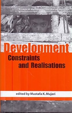 Development Constraints and Realisation (Hardcover)